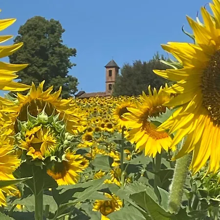 Villachiara - Old In Monferrato Villa San Desiderio (Asti)