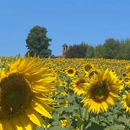 Villachiara - Old In Monferrato Villa *