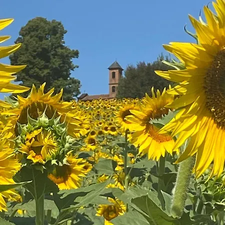 Villa Villachiara - Old In Monferrato *